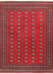 Red Bokhara 8' 1 x 10' 5 - No. 59375