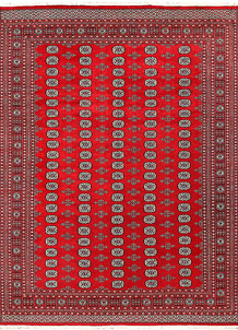 Red Bokhara 9' 1 x 11' 11 - No. 59812