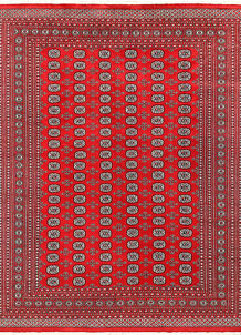 Red Bokhara 9' 1 x 11' 10 - No. 59821