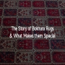 The Story of Bokhara Rugs and What Makes them Special
